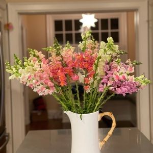 Meet your Posher, Marjorie